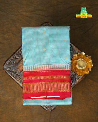 NARAYANPET PURE SILK HANDLOOM SAREE