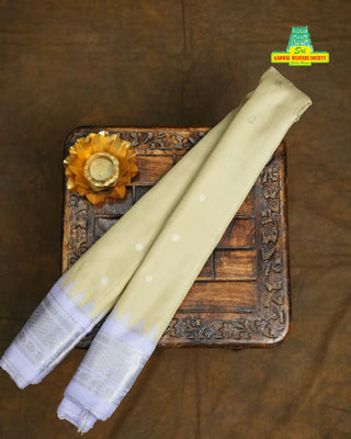 GADWAL PURE SILK SILVER ZARI SAREE