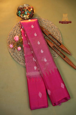 GADWAL PURE SILK TISSUE HANDLOOM SELF SAREE