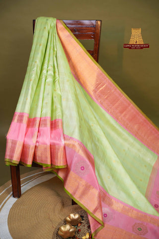 EXCLUSIVE GADWAL PURE SILK GAP BORDER HANDLOOM SAREE