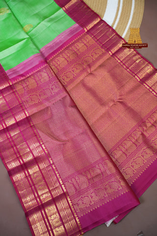 KANCHIPURAM KUTTU BORDER PURE SILK HANDLOOM SAREE