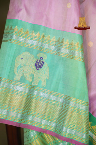 GADWAL PURE SILK GAP BORDER HANDLOOM SAREE
