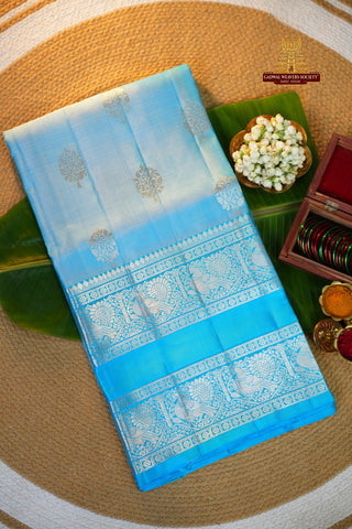 VENKATAGIRI PURE SILK HANDLOOM SAREES