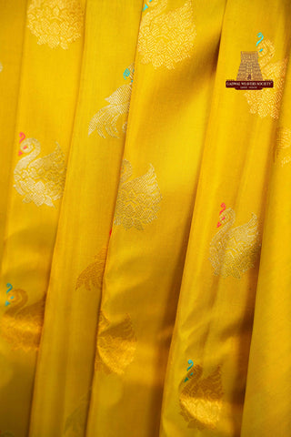 EXCLUSIVE GADWAL PURE SILK HANDLOOM SAREE