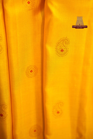EXCLUSIVE GADWAL PURE SILK HANDLOOM KUTTU BORDER SAREE