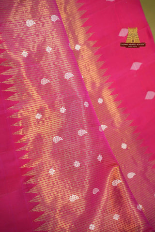 GADWAL PURE SILK TISSUE HANDLOOM SELF SAREE
