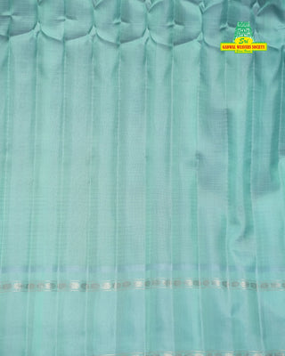 GADWAL PURE SILK SILVER ZARI GAP BORDER SAREE