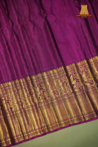 GADWAL PURE COTTON SILK HANDLOOM SAREES