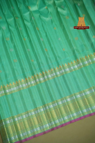 GADWAL PURE SILK GAP BORDER HANDLOOM SAREE
