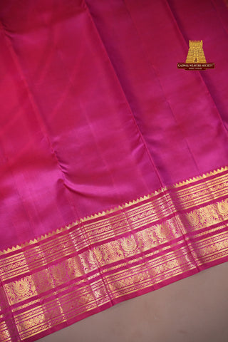 KANCHIPURAM KUTTU BORDER PURE SILK HANDLOOM SAREE