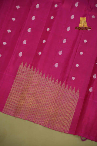 GADWAL PURE SILK TISSUE HANDLOOM SELF SAREE