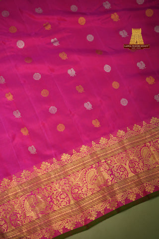 GADWAL PURE SILK HANDLOOM JAQUARD BORDER SAREE