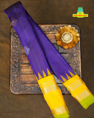 GADWAL PURE SILK SILVER ZARI GAP BORDER SAREE