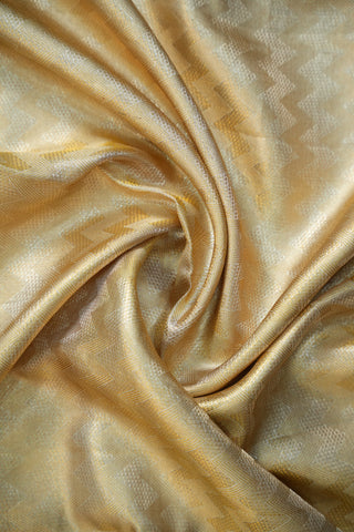 KANCHIPURAM PURE SILK TISSUE HANDLOOM SAREE