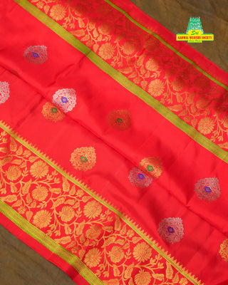 GADWAL PURE SILK HANDLOOM TURNING BORDER SAREE