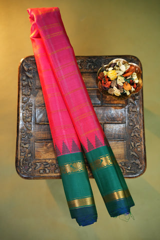 GADWAL PURE SILK GAP BORDER HANDLOOM SAREE