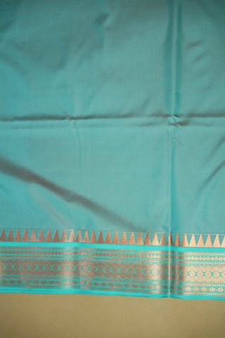 SEMI KANCHI SAREE