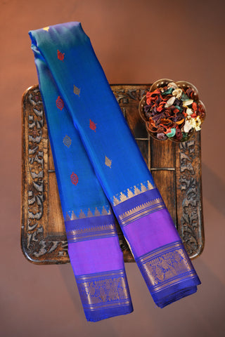 GADWAL PURE SILK GAP BORDER HANDLOOM SAREE