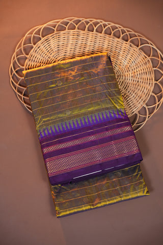 NARAYANPET PURE SILK HANDLOOM SAREE