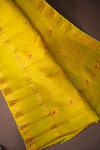 GADWAL PURE SILK GAP BORDER HANDLOOM SAREE