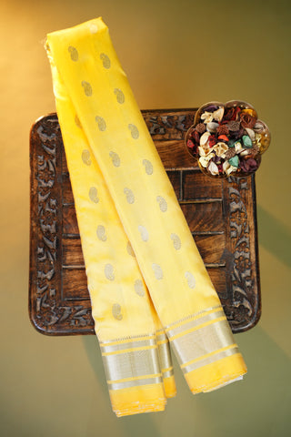 GADWAL PURE SILK PAITHANI HANDLOOM SAREE