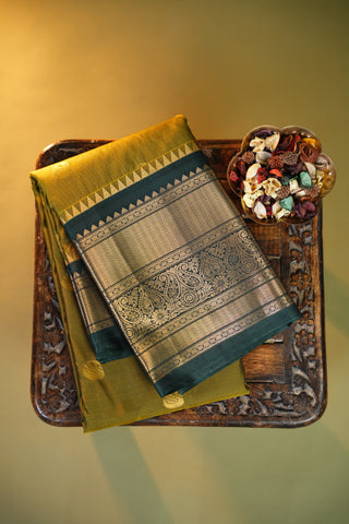 SEMI KANCHI SAREE