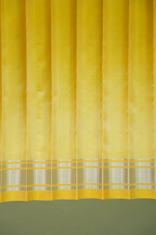 GADWAL PURE SILK PAITHANI HANDLOOM SAREE