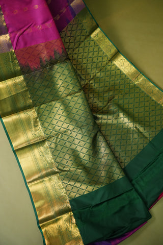 SEMI KANCHI SAREE