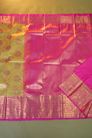 SEMI KANCHI SAREE