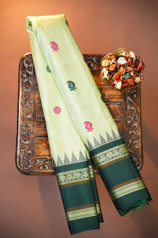 GADWAL PURE SILK GAP BORDER HANDLOOM SAREE