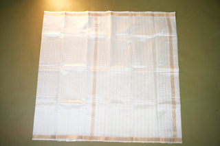 MANGALAGIRI SICO SAREE
