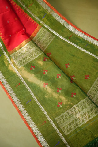 GADWAL PURE SILK TISSUE MUNIA BORDER HANDLOOM SAREE