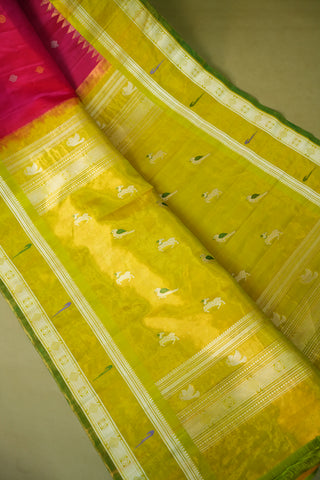 GADWAL PURE SILK TISSUE MUNIA BORDER HANDLOOM SAREE