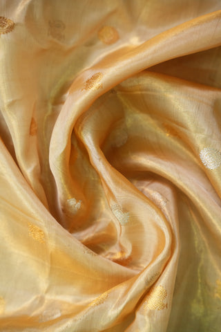 EXCLUSIVE GADWAL TISSUE PURE SILK HANDLOOM SAREE