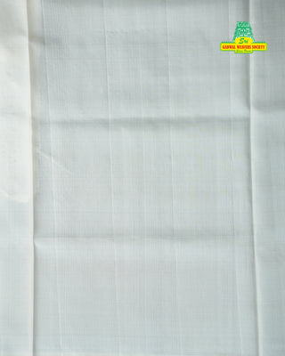 VEKATAGIRI PURE SILK HANDLOOM SAREE