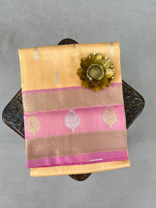 VENKATAGIRI PURE SILK HANDLOOM SAREE
