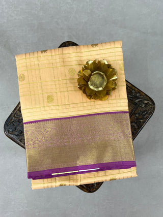 VENKATAGIRI PURE SILK HANDLOOM SAREE