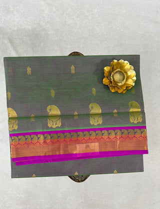 VENKATAGIRI COTTON HANDLOOM SAREE