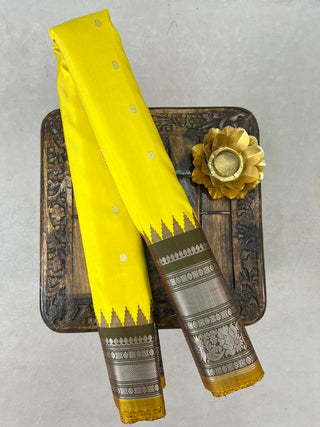 GADWAL PASTEL PURE SILK HANDLOOM SAREE