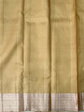 KANCHIPURAM PURE SILK HANDLOOM SAREE