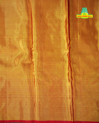 KANCHIPURAM PURE SILK TISSUE HANDLOOM SAREE