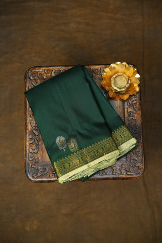 KANCHIPURAM PURE SILK SMALL BORDER SAREE