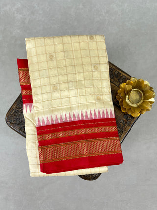 NARAYANPET PURE SILK HANDLOOM SAREE