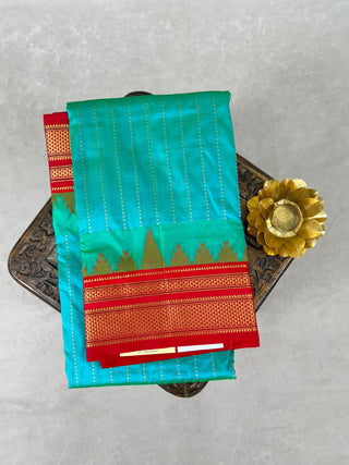 NARAYANPET PURE SILK HANDLOOM SAREE