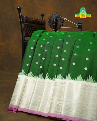 GADWAL PURE SILK HANDLOOM SAREE