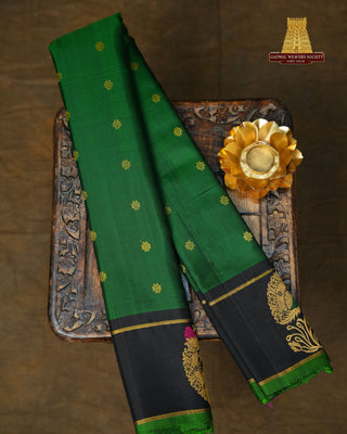 Green and black saree with gold border on a textured surface