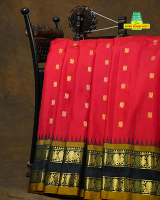 GADWAL PURE SILK GAP BORDER HANDLOOM SAREE