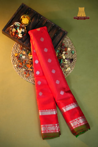 GADWAL PURE SILK SILVER ZARI GAP BORDER SAREE
