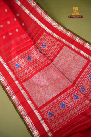 GADWAL PURE SILK SILVER ZARI GAP BORDER SAREE