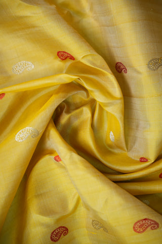 GADWAL PURE SILK GAP BORDER HANDLOOM SAREE